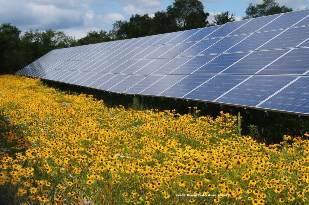 solar panels in sunflower field - benefits of solar