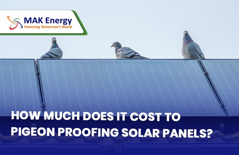 how much does it cost to pigeon proofing solar panels