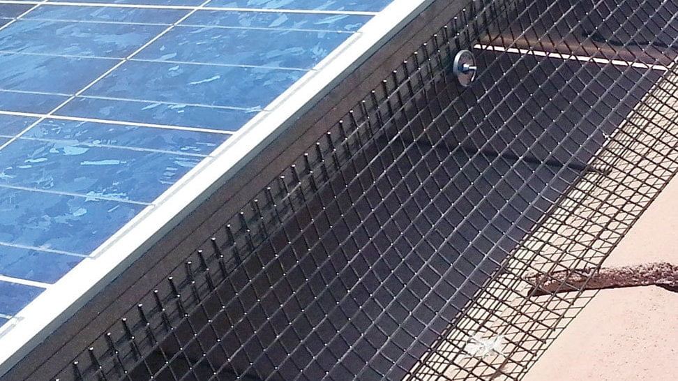 mesh screening for pigeon proofing on solar panels