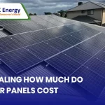 Revealing How Much Do Solar Panels Cost