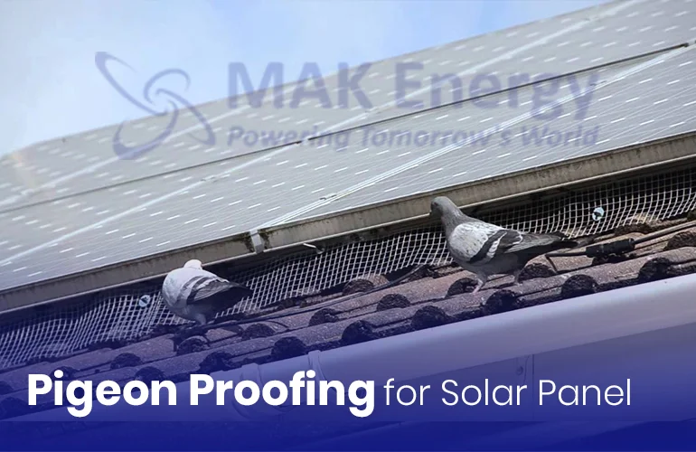 Solar panel Pigeon Proofing