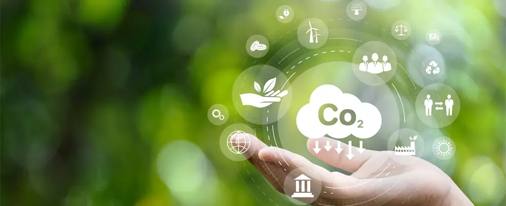 Do solar panels reduce my carbon footprint